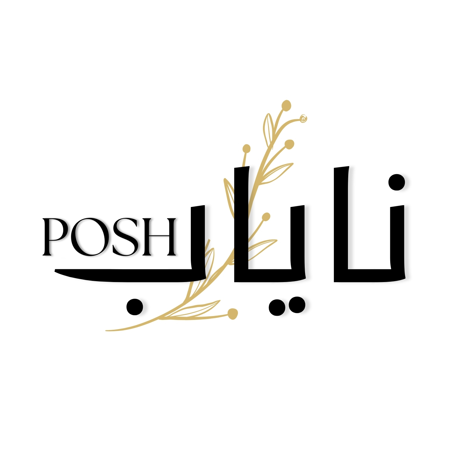 Nayab Posh Logo